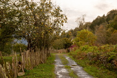 Грузия, Аджария